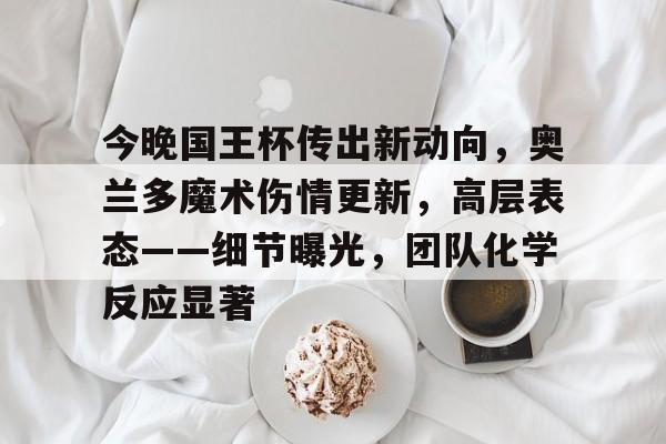 九游游戏-今晚国王杯传出新动向，奥兰多魔术伤情更新，高层表态——细节曝光，团队化学反应显著的简单介绍
